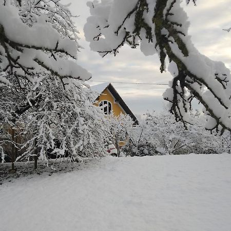 Biohof Koller Villa Weichselbaum Buitenkant foto