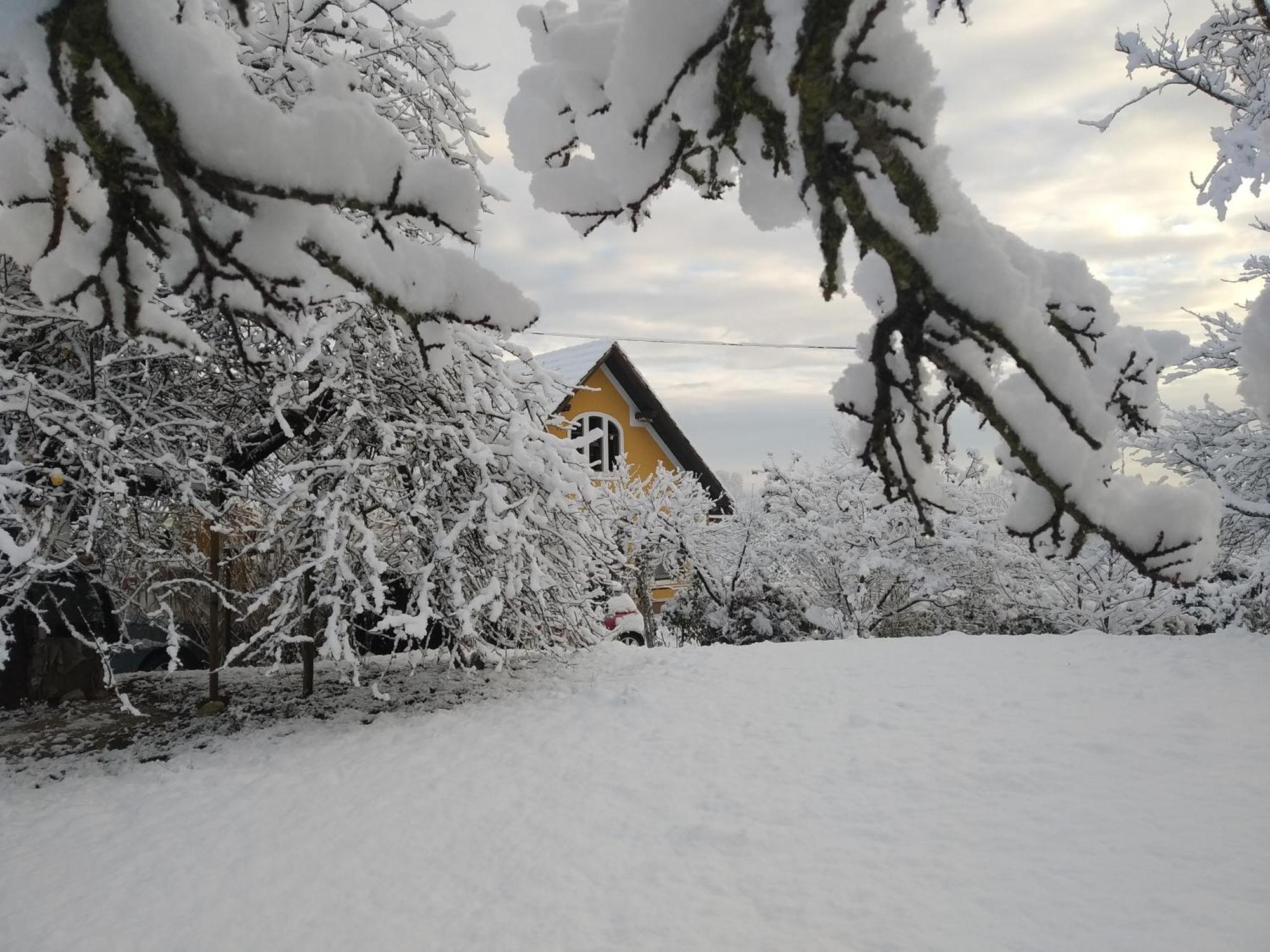 Biohof Koller Villa Weichselbaum Buitenkant foto