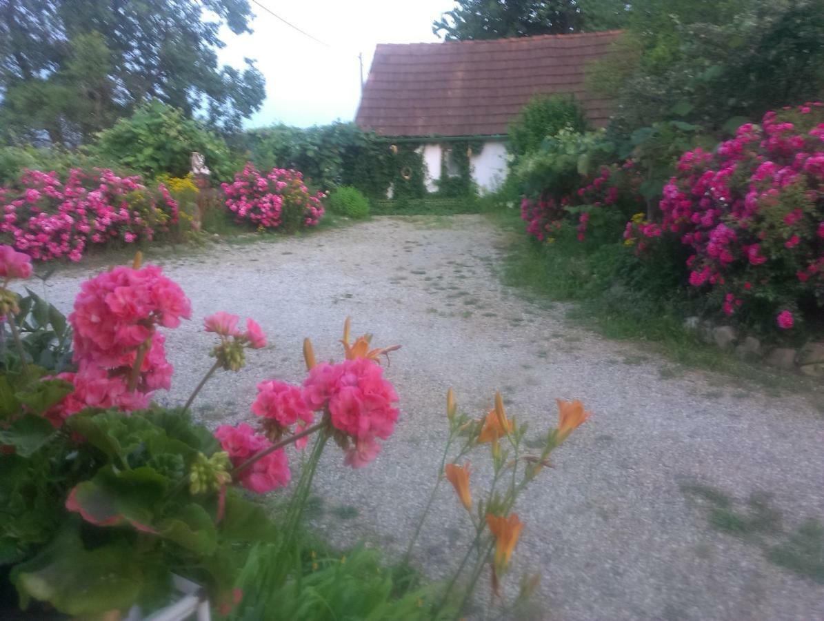 Biohof Koller Villa Weichselbaum Buitenkant foto